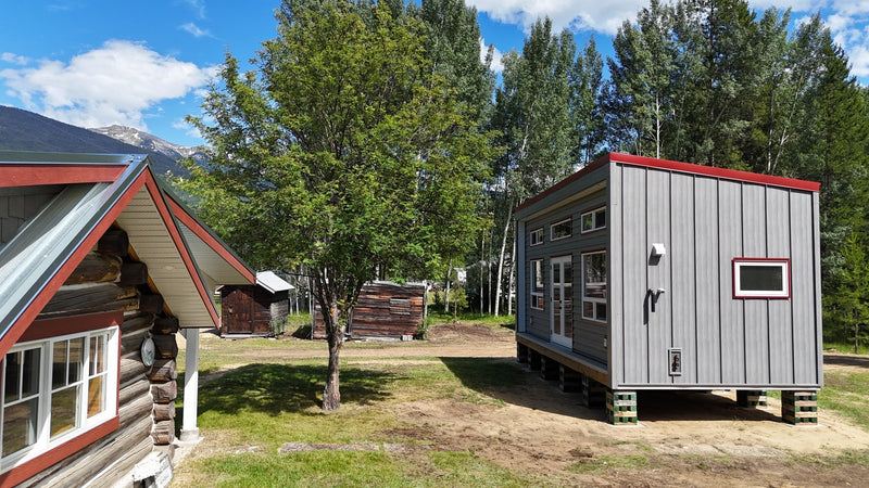 Modern Cabin Meets a Piece of History