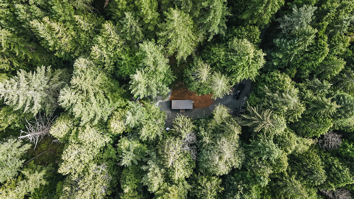 Top-down drone view of a modular cabin nestled in a clearing of old-growth trees