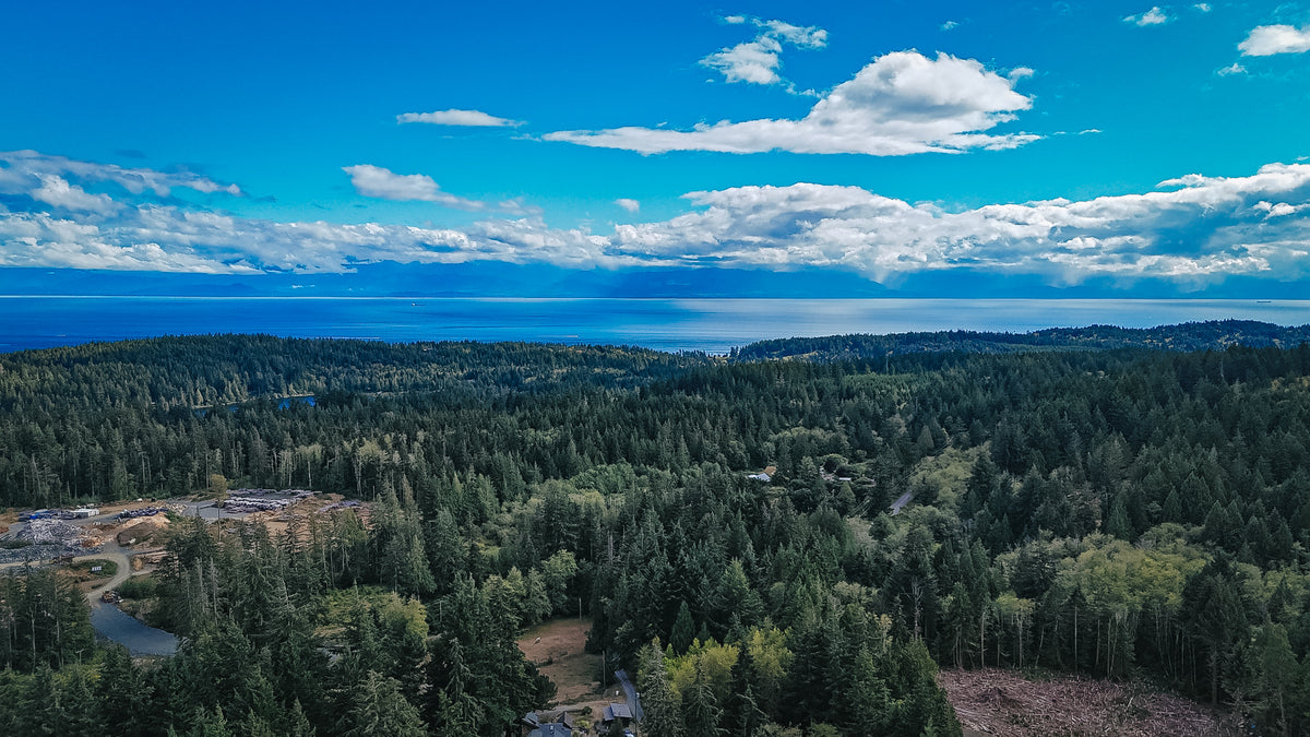 Drone view over the forest to the ocean from the property near Sooke, BC