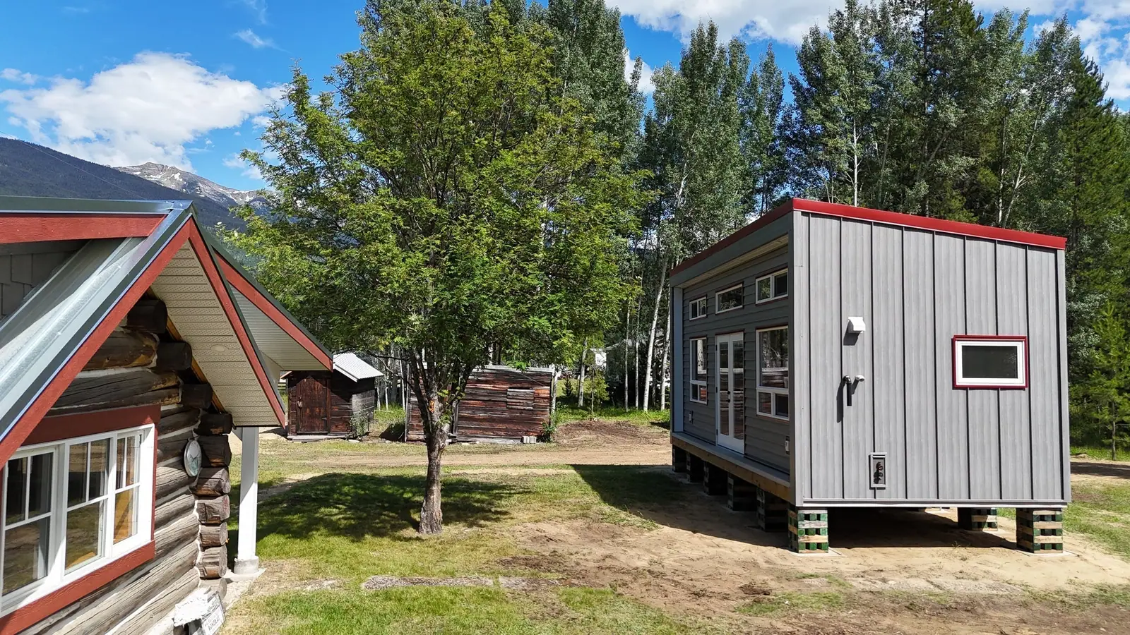 Modern Cabin Meets a Piece of History